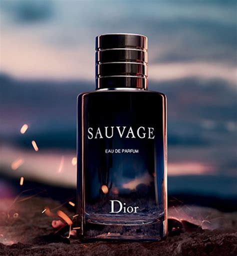 dior sauvage 100 ml preisvergleich|Dior Sauvage offer.